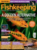 Practical Fishkeeping